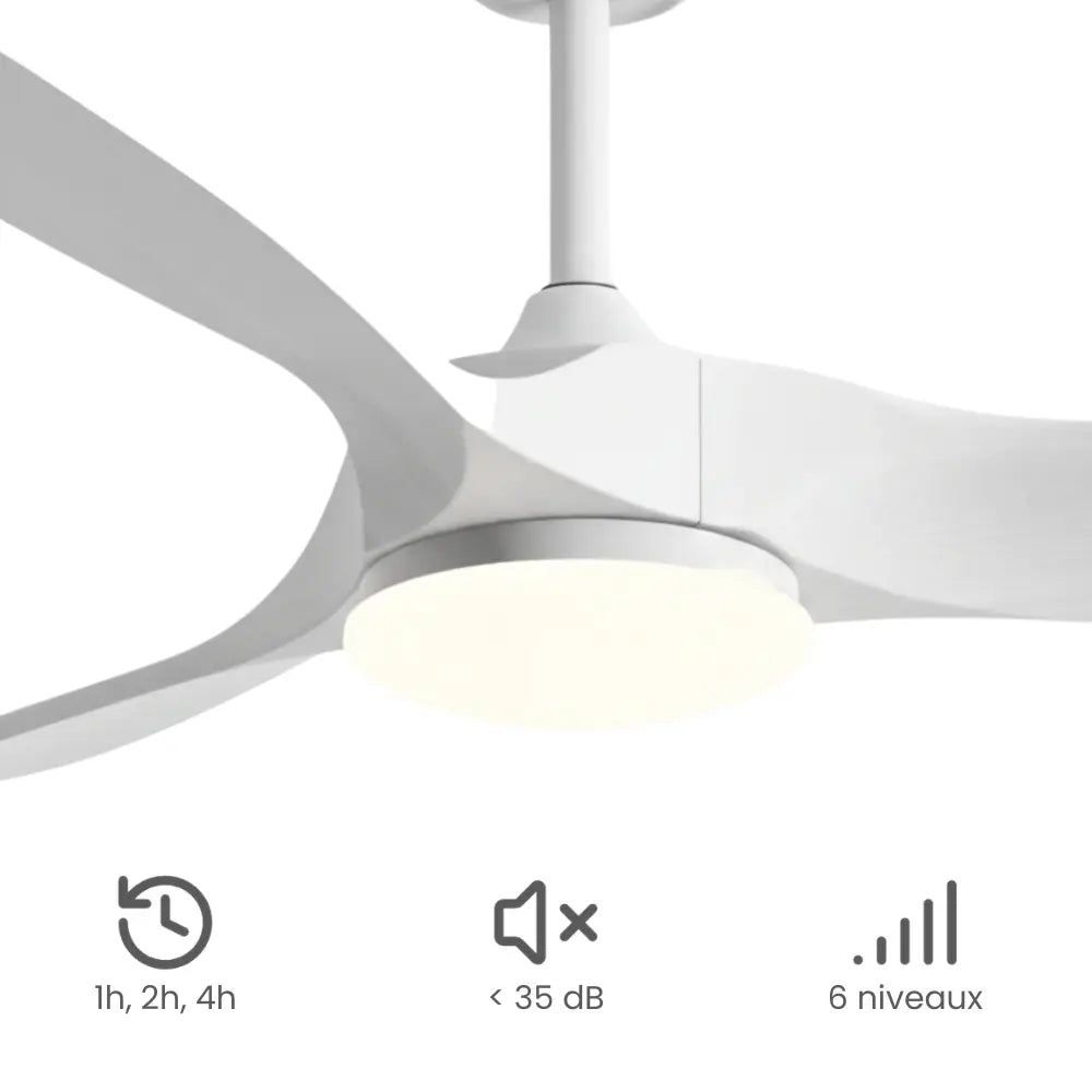 Ventilateur de Plafond Silencieux Bois Blanc LED