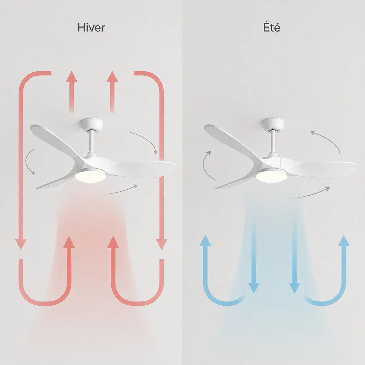 Ventilateur de Plafond Silencieux Bois Blanc LED