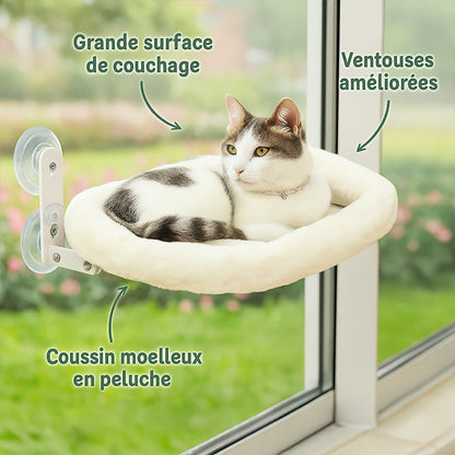 Hamac Ventouse pour Chat | Bubble
