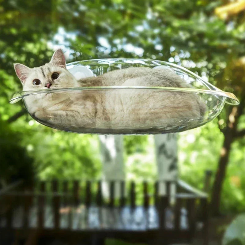 Hamac Ventouse Chat | Salem