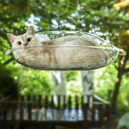 Hamac Ventouse Chat | Salem