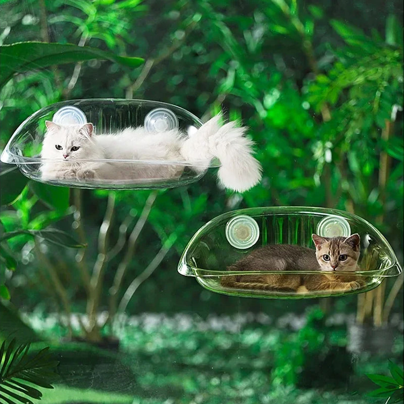 Hamac Ventouse Chat | Salem