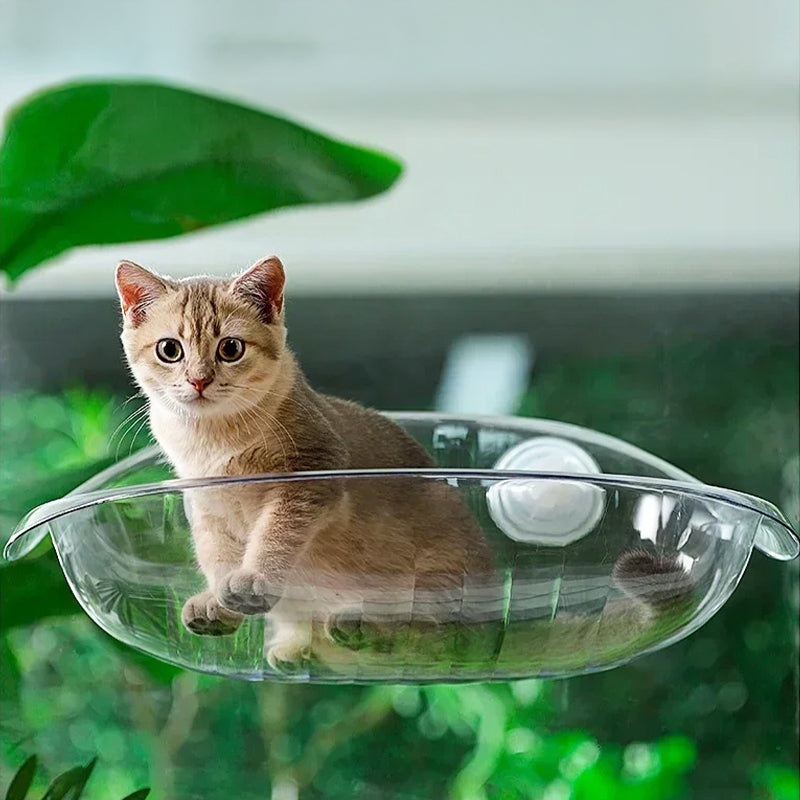 Hamac Ventouse Chat | Salem