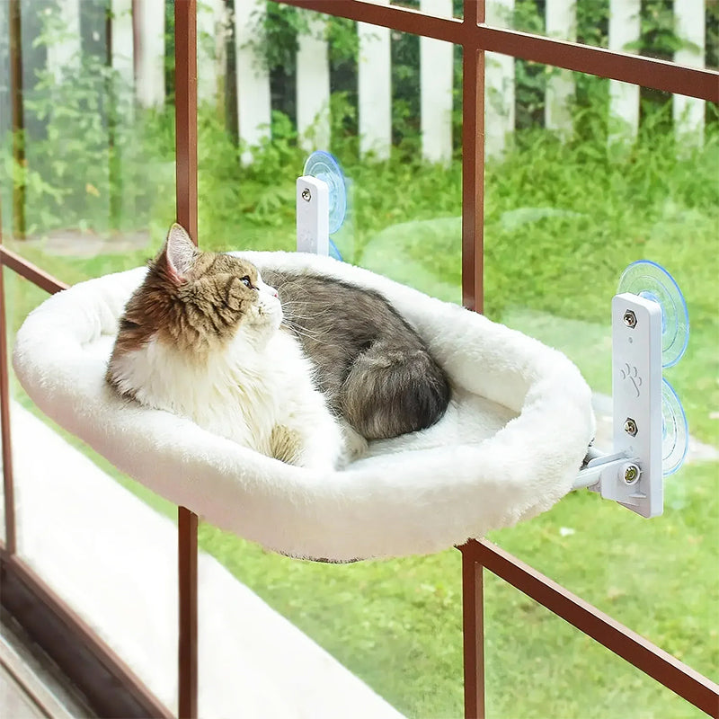 Hamac Ventouse pour Chat | Bubble
