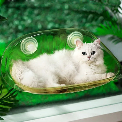 Hamac Ventouse Chat | Salem